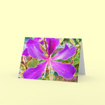 The Orchid Tree cards