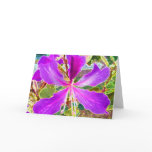 The Orchid Tree cards