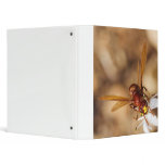 The Oriental Hornet Vespa Orientalis 3 Ring Binders