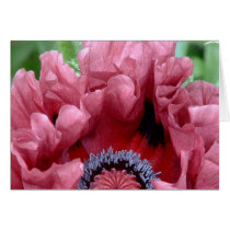 The Origami Poppy cards by CHOLOEPUS The Origami Poppy cards