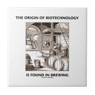 The Origin Of Biotechnology Is Found In Brewing Tiles