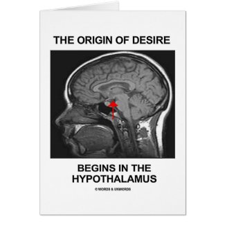 The Origin Of Desire Begins In the Hypothalamus Cards
