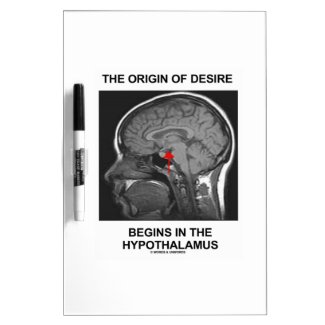 The Origin Of Desire Begins In the Hypothalamus Dry Erase Board