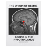 The Origin Of Desire Begins In the Hypothalamus Flyer