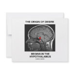 The Origin Of Desire Begins In the Hypothalamus Invite