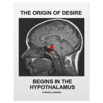 The Origin Of Desire Begins In the Hypothalamus letterhead by wordsunwords The Origin Of Desire Begins In the Hypothalamus letterhead