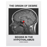 The Origin Of Desire Begins In the Hypothalamus Letterhead Design