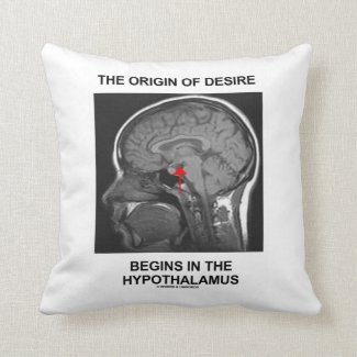 The Origin Of Desire Begins In the Hypothalamus Pillow