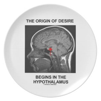 The Origin Of Desire Begins In the Hypothalamus Plates