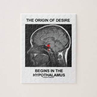 The Origin Of Desire Begins In the Hypothalamus Puzzle