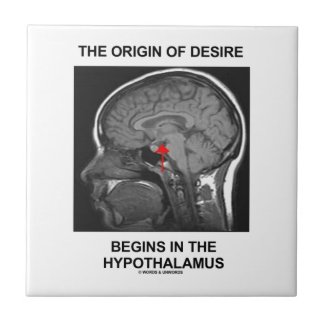 The Origin Of Desire Begins In the Hypothalamus Tiles