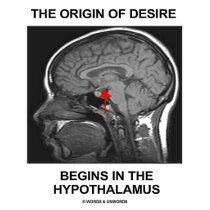 The Origin Of Desire Begins In the Hypothalamus t-shirts by wordsunwords The Origin Of Desire Begins In the Hypothalamus t-shirts