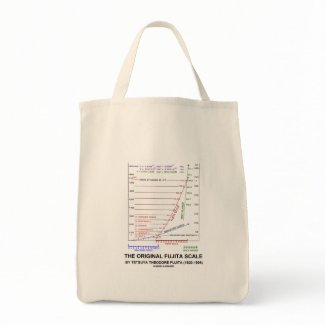 The Original Fujita Scale Tetsuya Theodore Fujita bag