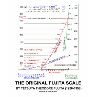 The Original Fujita Scale Tetsuya Theodore Fujita shirt