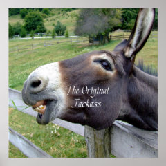 The Original Jackass Funny Donkey Mule Farm Animal Posters