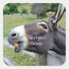 The Original Jackass Funny Donkey Mule Farm Animal Square Stickers