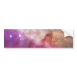 The Orion Nebula's Biggest Stars Messier 42 M42 Bumper Stickers