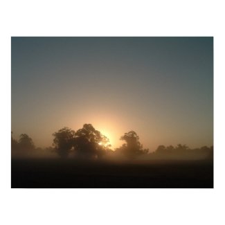 The Orlando Dew print