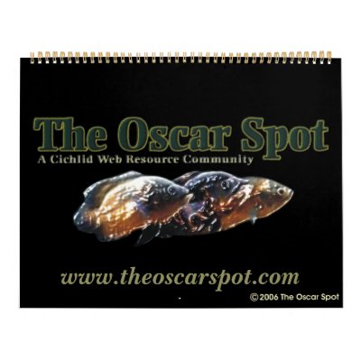 The Oscar Spot Wall Calendar by oscar_azac