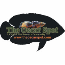 The Oscar Spot photo sculptures by oscar_azac The Oscar Spot photo sculptures