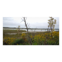 The Other Side of Oak Island Custom Photo Card