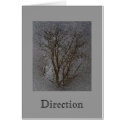 The Other Side of Somewhere card