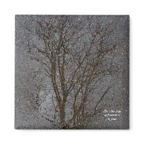 The Other Side of Somewhere magnets by Janz_Art The Other Side of Somewhere magnets