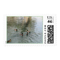 The Outsider postage