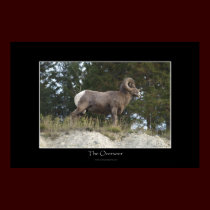THE OVERSEER Poster posters by RavenSpiritPrints THE OVERSEER Poster posters