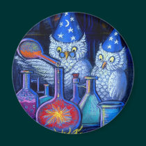 The Owl Chemists magnets