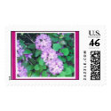 THE OWL FLOWER? postage