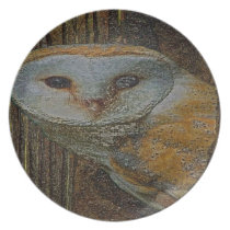 THE OWL PLATE