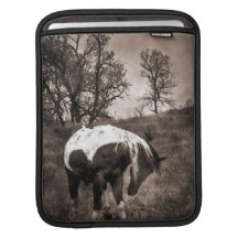 The Paint Horse i-Pad Sleeve Sleeves For iPads