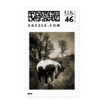 The Paint postage