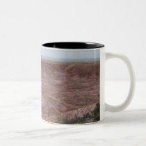 The Painted Desert mugs