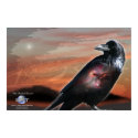 THE PAINTED DESERT posters by sandytravel THE PAINTED DESERT posters