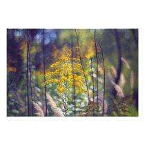 The palette photograph