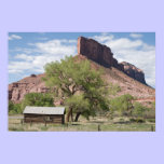 The Palisade and Pioneer Cabin posters