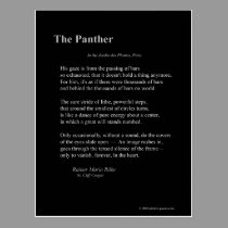 THE PANTHER postcards