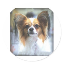 The PAPILLON Sticker