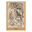 The Paradise Flycatcher posters by ZephyrusBooks The Paradise Flycatcher posters