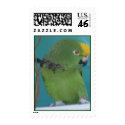 The Pariot See's U postage by TRIPINTRISH The Pariot See's U postage