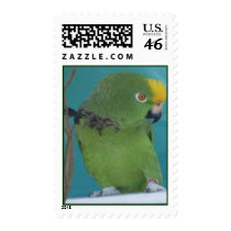 The Pariot See's U postage