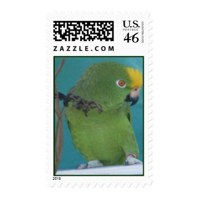 The Pariot See's U Postage by TRIPINTRISH