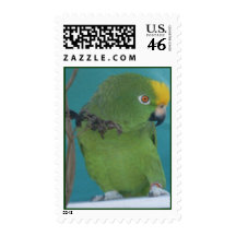 The Pariot See's U Postage