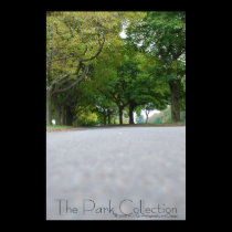 The Park Collection - As I Was Walking posters
