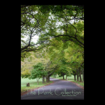 The Park Collection - Winding Path posters