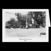 The Park-McMinnville Tennessee cards