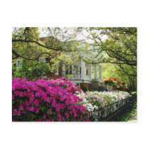 The Parsonage - Spring in Natchez, Mississippi Postcard