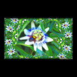 The Passion of the Bumble Bee Large Poster